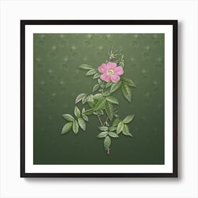 Vintage Pink Boursault Rose Botanical on Lunar Green Pattern n.1028 Art Print