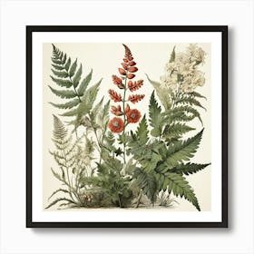 Painted Fern Wildflower Vintage Botanical Art Print 0 Art Print