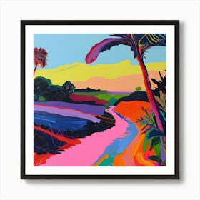 Colourful Abstract Everglades National Park Usa 3 Art Print