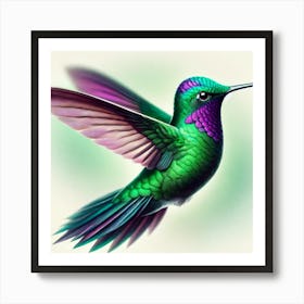 Hummingbird 18 Art Print