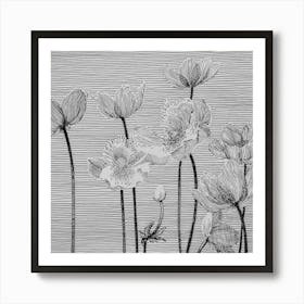 Anemones Art Print