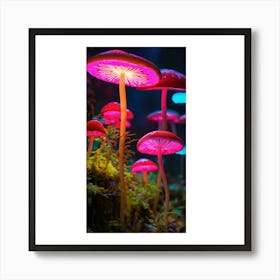 Mushrooms In The Dark Art Print