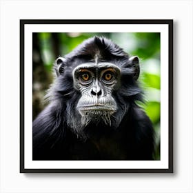 Black Endangered Nature Lowland Malaysia Mammal Buddhism Travel Beautiful Zoo Building Te (1) Art Print