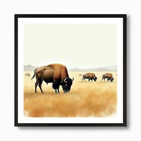 Bison In The Grass Art Print