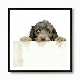 Spanish Water Dog 3 Art Print