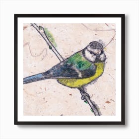 Blue Tit Square Art Print