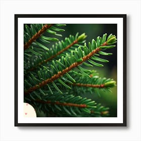 Fir leaf 1 Art Print