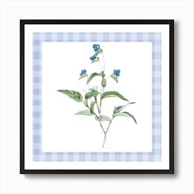 Bluebells | Baby blue gingham Art Print