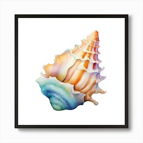 Sea Shell Isolated On White Art Print