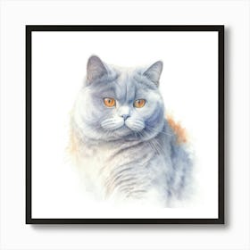 British Shorthair Cat Portrait Art Print