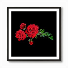 Red Roses On Black Background Art Print