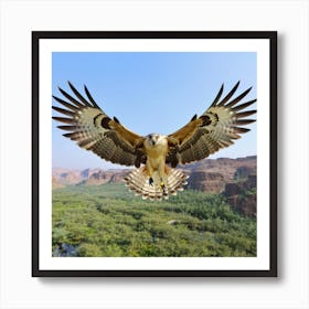 Hawk In Flight Art Print