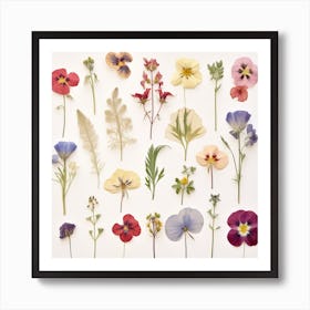 Dried Wild Flowers 29 Art Print