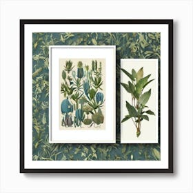 Botanical Set Jardin Majorelle, Morocco Vintage Botanical Art Print Art Print