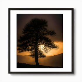 Lone Tree At Sunset Art Print