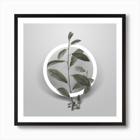 Vintage Grey Willow Minimalist Floral Geometric Circle on Soft Gray Art Print