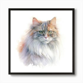 Australian Mist Longhair Cat Portrait Art Print