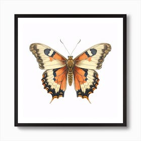 Butterfly 43 Art Print