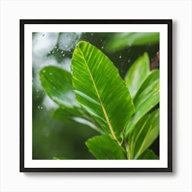 Rain Drops On A Leaf Art Print