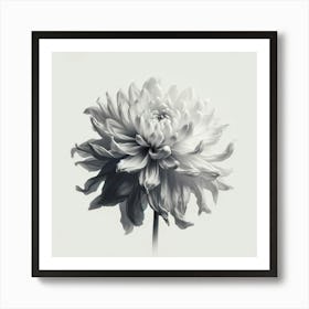 Gray & White Dahlia Minimalist Art Print