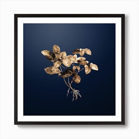 Gold Botanical American Wintergreen Plant on Midnight Navy n.1319 Art Print