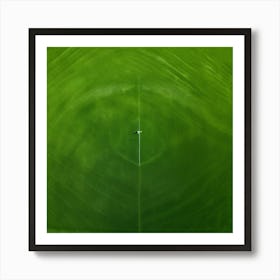 Lawn Green Grass Line Drone Person Surface Field Descending Adult Day Greenery Sharpened (7) Art Print