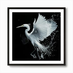 White Egret 2 Art Print