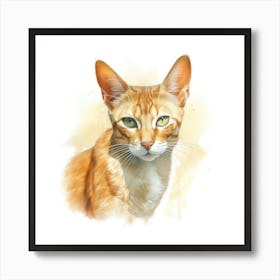 Bali Cat Portrait 3 Art Print