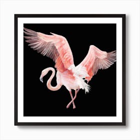 Flamingo 1 Art Print