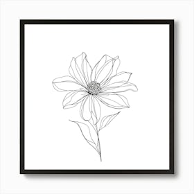 Cosmos Flower 8 Art Print