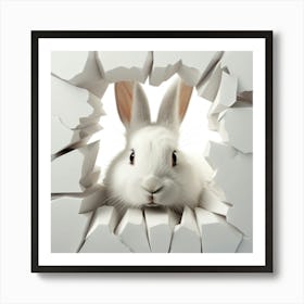 Rabbit Through A Hole 1 Art Print