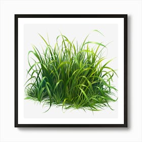 Watercolor-Spring-Grass-Clipart. Oliviaarts.13 Art Print