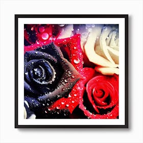 Beautiful red, white and black roses Art Print