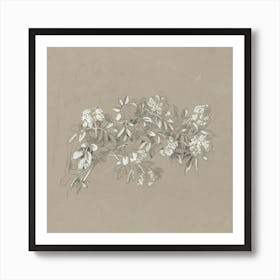 Drawing Of Flowers Affiche