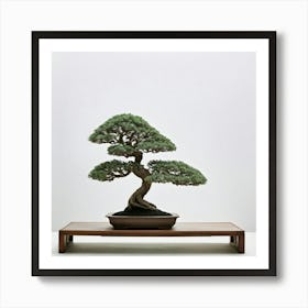 An Isolated Bonsai Tree Stands Resilient Amid A Zen Like Minimalist Setting Casting Soft Muted Sha Art Print