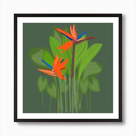 Birds of Paradise Plant Art Print