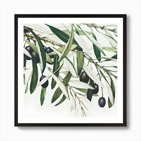 Olive Branch 2 Art Print