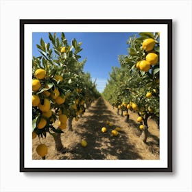 Lemon Orchard Art Print