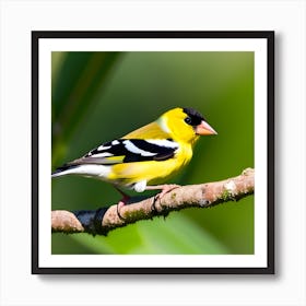 Goldfinch 20 Póster