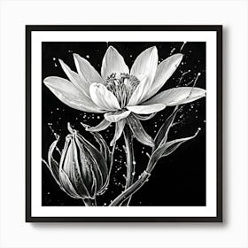 Lotus Flower 25 Art Print