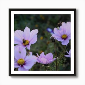 IRISH WILDFLOWERS Art Print