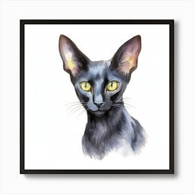 Black Oriental Cat Portrait 1 Art Print