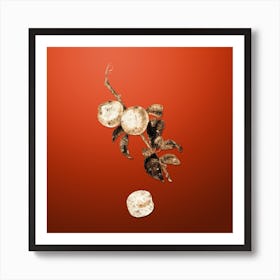 Gold Botanical White Walnut on Tomato Red n.4670 Art Print
