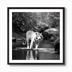 White Tiger 6 Art Print