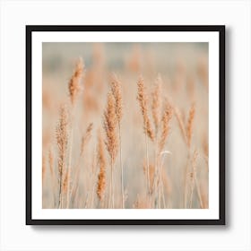 Wild Wheat Grass Art Print
