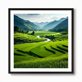 Rice Fields In Vietnam 2 Art Print