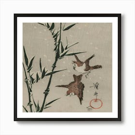 Two Birds In Flight Art Print