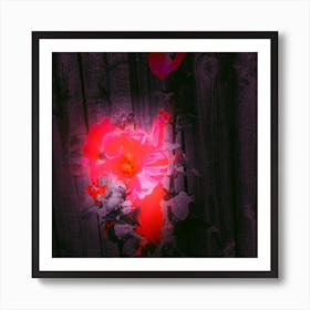 Hollyhocks Art Print