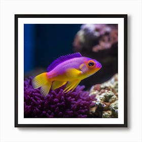 Colorful Tropical Fish In Aquarium Art Print