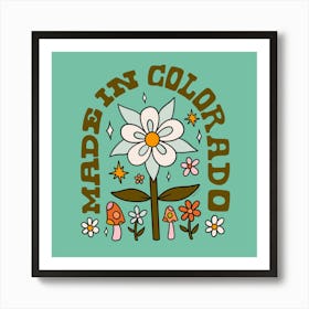 Made In Colorado Art Print